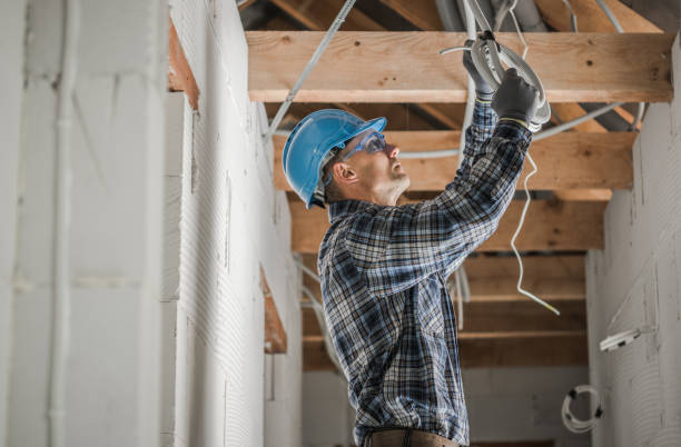 Best Ceiling Fan Installation Electrician  in Lake Holiday, IL