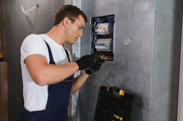 Best Electrical Repair Services  in Lake Holiday, IL