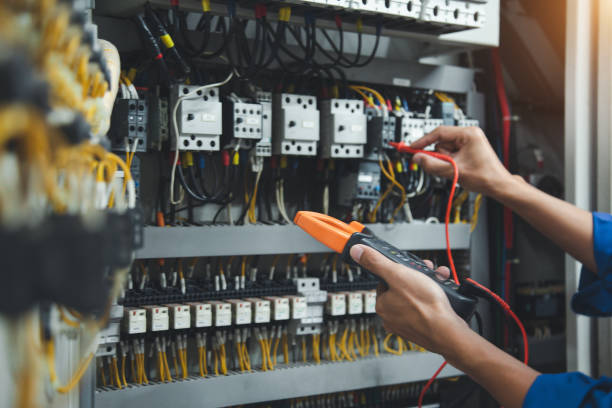 Best Licensed Electrician  in Lake Holiday, IL