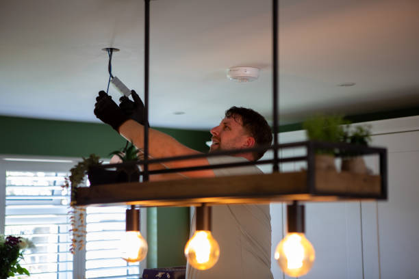 Best Electrician Near Me  in Lake Holiday, IL