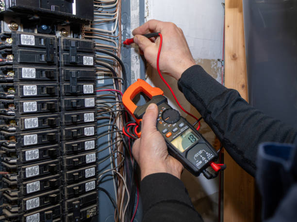 Best Electrical Troubleshooting Services  in Lake Holiday, IL