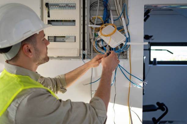 Best Electrical Rewiring Services  in Lake Holiday, IL